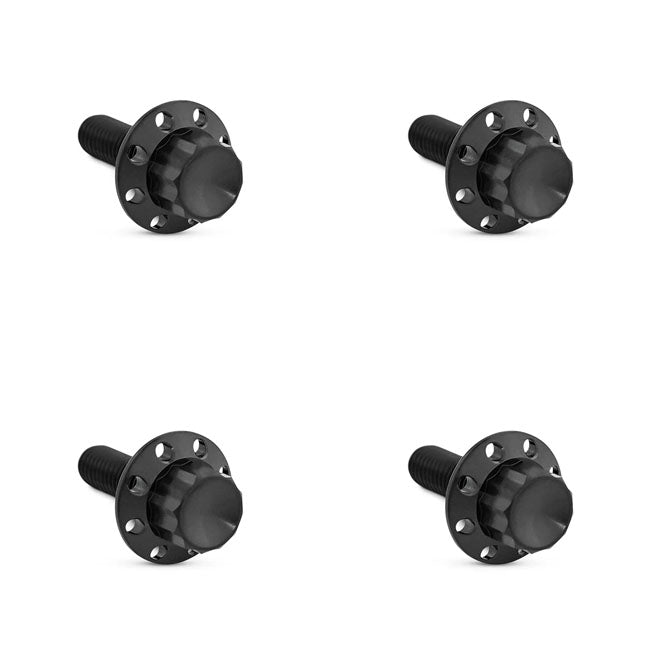 Arlen Ness Bolt Kit Titanium Flt 15 23 Builders Fastener Sets Arlen Ness