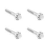 Arlen Ness, titanium 12-point front fender bolt kit. Polish BUILDERS FASTENER SETS Arlen Ness