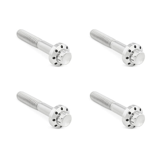 Arlen Ness, titanium 12-point front fender bolt kit. Polish BUILDERS FASTENER SETS Arlen Ness