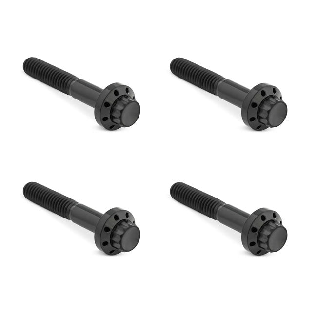 Arlen Ness, titanium 12-point front fender bolt kit. Black BUILDERS FASTENER SETS Arlen Ness