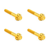 Arlen Ness, titanium 12-point front fender bolt kit. Gold BUILDERS FASTENER SETS Arlen Ness