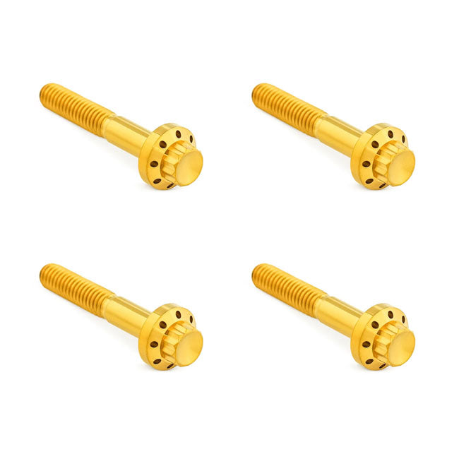 Arlen Ness, titanium 12-point front fender bolt kit. Gold BUILDERS FASTENER SETS Arlen Ness