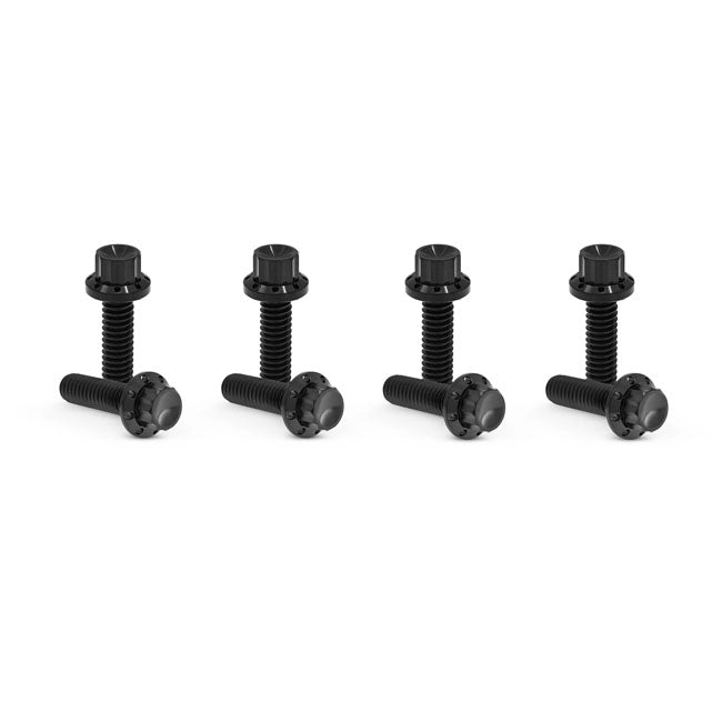 Arlen Ness Bolt Kit Titanium Tc & M8 Builders Fastener Sets Arlen Ness