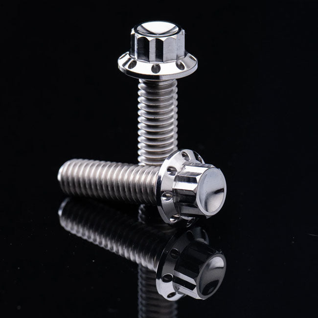 Arlen Ness Bolt Kit Titanium M8 17 Up Builders Fastener Sets Arlen Ness