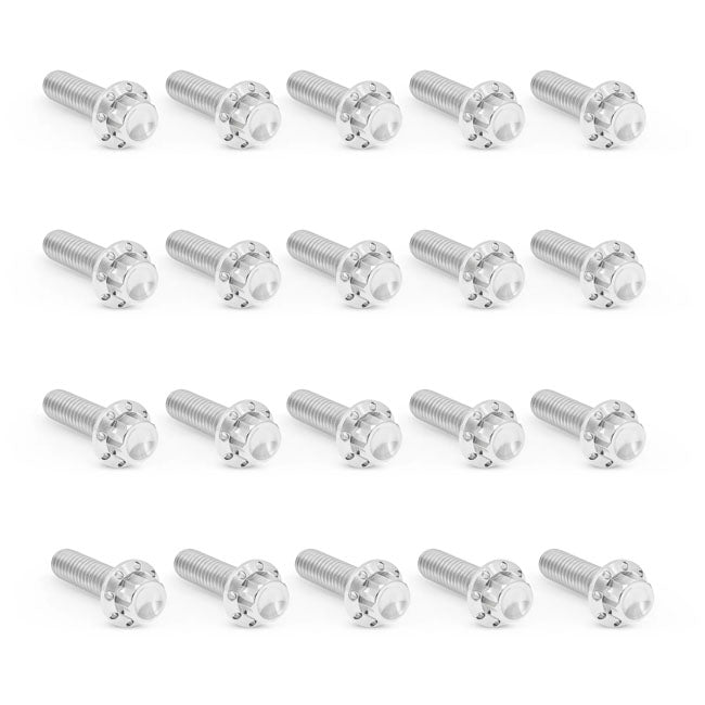 Arlen Ness Bolt Kit Titanium M8 17 Up Builders Fastener Sets Arlen Ness