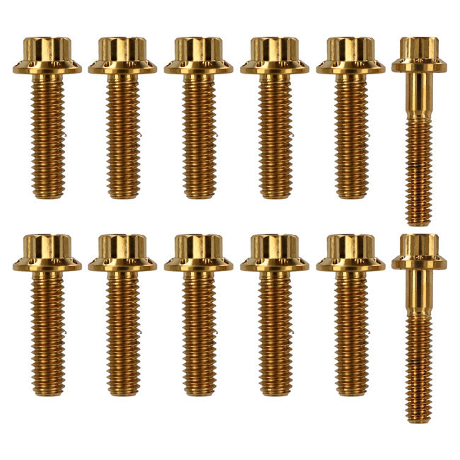 Arlen Ness, transm. side cover & trap door 12-point bolt kit BUILDERS FASTENER SETS Arlen Ness