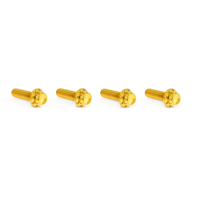 Arlen Ness Bolt Kit Titanium M8 24 25 Builders Fastener Sets Arlen Ness