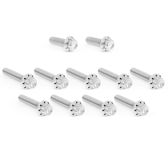 Arlen Ness Bolt Kit Titanium M8 24 25 Builders Fastener Sets Arlen Ness