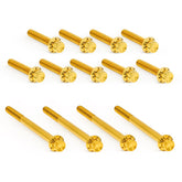 Arlen Ness Bolt Kit Titanium Tc 00 17 Builders Fastener Sets Arlen Ness