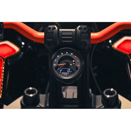 Rick's Motorcycles, Clubstyle riser kit Pullback S. 10" Risers Rick's Motorcycles