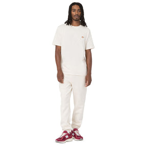 Dickies Mapleton t-shirt whitecap gray T-SHIRTS Dickies