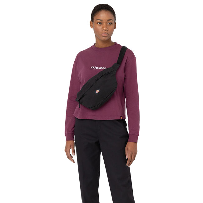 Dickies Duck canvas cross body BAGS Dickies