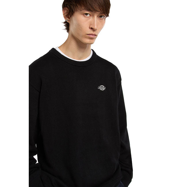 Dickies Summerdale sweater black SWEATSHIRTS Dickies