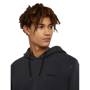 Dickies Plentywood hoodie black HOODIES Dickies