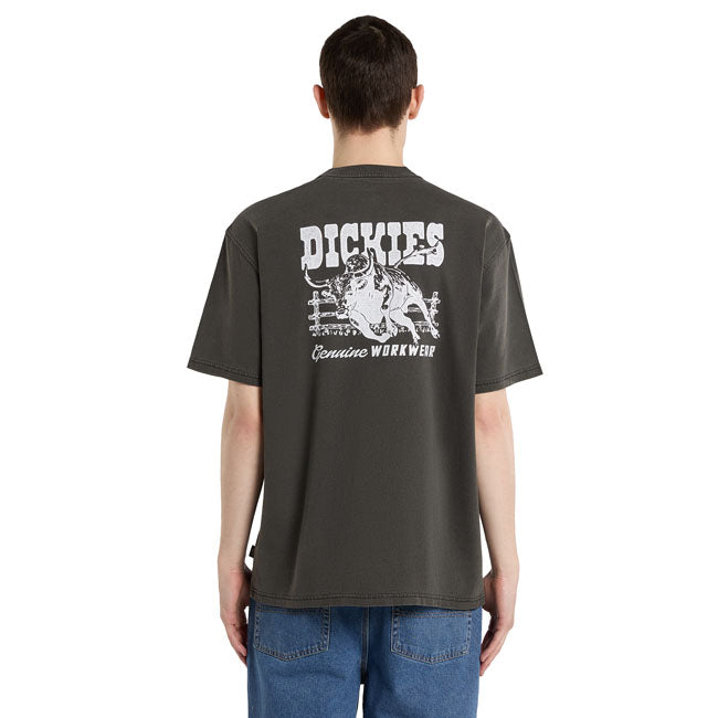 Dickies Buchtell t-shirt black T-SHIRTS Dickies