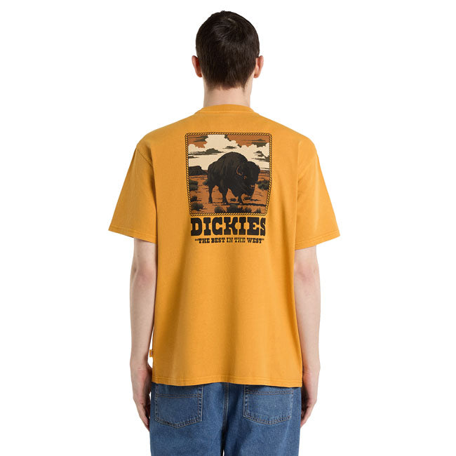 Dickies Darrtown t-shirt sunflower T-SHIRTS Dickies