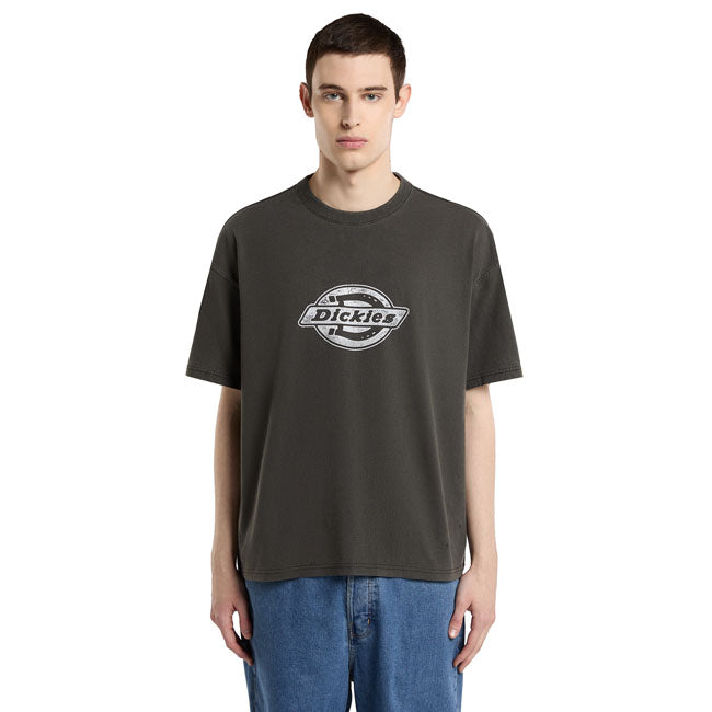 Dickies Plainville t-shirt black T-SHIRTS Dickies