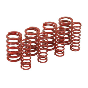 Andrews H Lift Springs Evo Bt Xl Valve Springs Andrews
