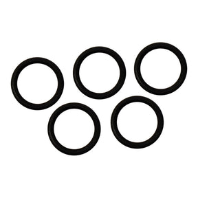 Fuel Tool O Ring Lwr Checkvalve 5 Pk Fuel Tool