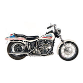 Paughco, Shorty exhaust Goose cut (38"). Chrome Full Exhaust System Paughco