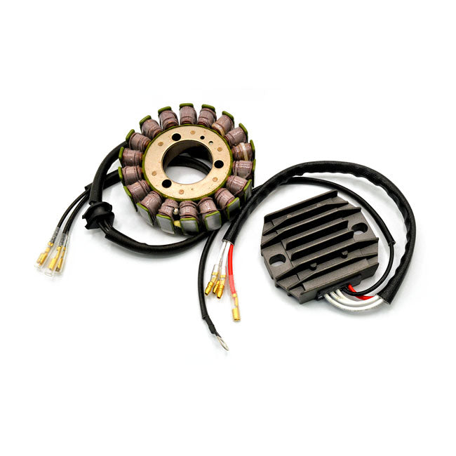 Rick''s Hot Shot Lithium Ion compatible charging kit REGULATORS Rick''S Motorsport Electronics