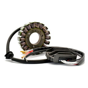 Rick''s Hot Shot Lithium Ion compatible charging kit REGULATORS Rick''S Motorsport Electronics