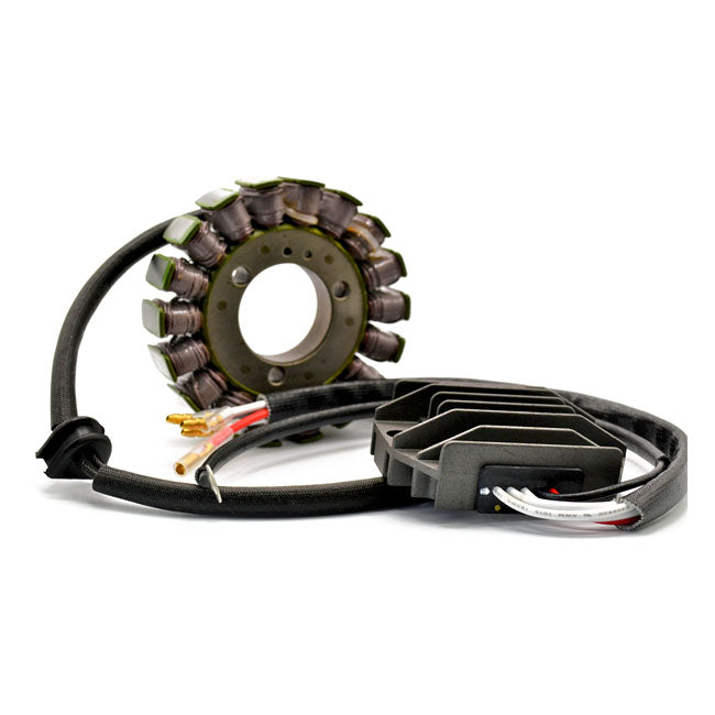 Rick''s Hot Shot Lithium Ion compatible charging kit REGULATORS Rick''S Motorsport Electronics
