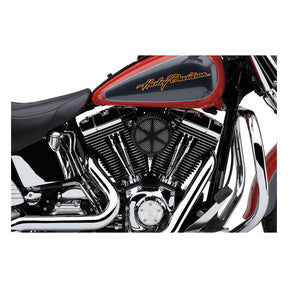 Cobra, Naked air cleaner kit. Spoke. Black Air Cleaner Cobra