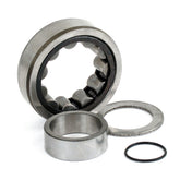 Camshaft Roller Bearing. Outer, Rear Cams Bearings Mcs