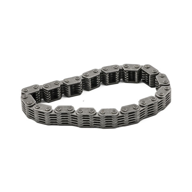 Inner Cam Chain, 99 06 Twin Cam Camshaft Misc Mcs