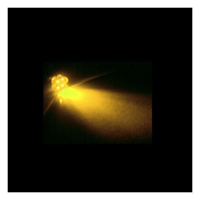 Custom Dynamics, 194 LED Bulb - Amber light REPLACEMENT LEDS Custom Dynamics