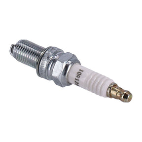 Oem Oem Spark Plug 10 R12 A - 02-17 V-Rod & 96-07 Buell Spark Plugs Harley Davidson