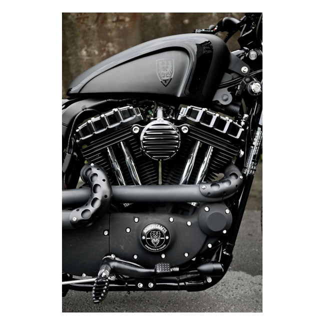 Point Cover 2 Hole, Black - 70-99 Big Twin & 71- 22 XL Sportster Timing Cover Rough Crafts Default Title