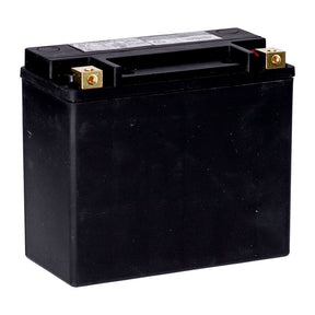 Mcs, Standard Series Agm Sealed Battery. 12v, 20ah. 320cca Batteries Mcs