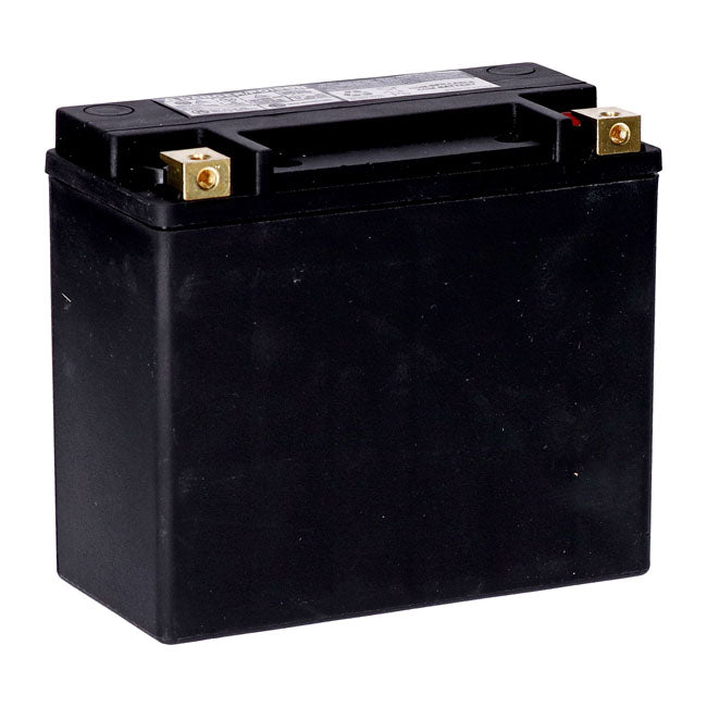Mcs, Standard Series Agm Sealed Battery. 12v, 20ah. 320cca Batteries Mcs