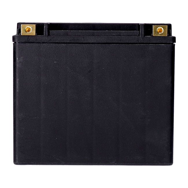 Mcs, Standard Series Agm Sealed Battery. 12v, 20ah. 320cca Batteries Mcs