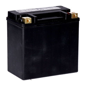 Mcs, Standard Series Agm Sealed Battery. 12 V, 14 Ah. 240 Cca Batteries Mcs