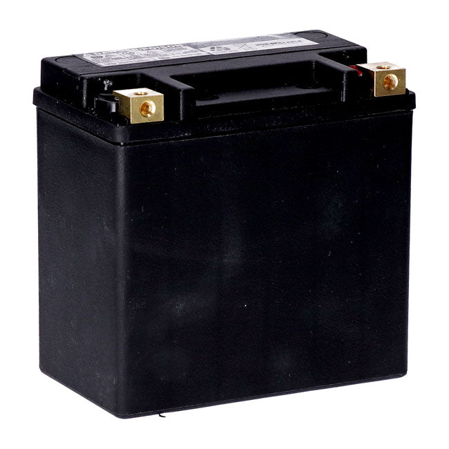 Mcs, Standard Series Agm Sealed Battery. 12 V, 14 Ah. 240 Cca Batteries Mcs