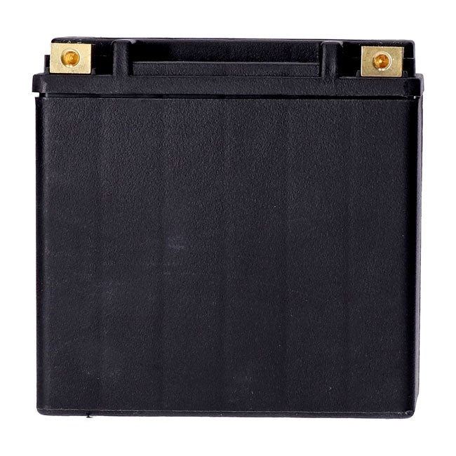 Mcs, Standard Series Agm Sealed Battery. 12 V, 14 Ah. 240 Cca Batteries Mcs