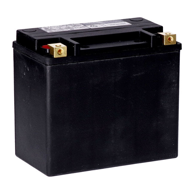 Mcs, Standard Series Agm Sealed Battery. 12v, 22ah. 325cca Batteries Mcs