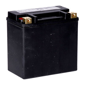 Mcs, Standard Series Agm Sealed Battery. 12v, 14ah. 240cca Batteries Mcs