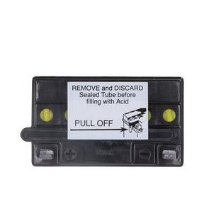 Yuasa, Yumicron battery YB12A-A Batteries Yuasa
