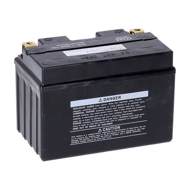 Yuasa, High performance AGM battery, YT12A-WC Batteries Yuasa
