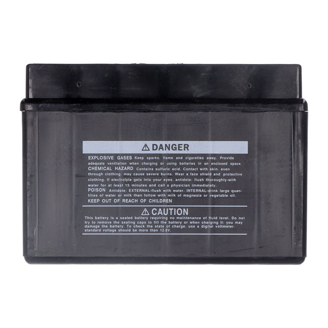 Yuasa, High performance AGM battery, YT12A-WC Batteries Yuasa