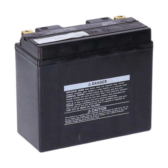 Yuasa, AGM battery, YT12B-WC Batteries Yuasa