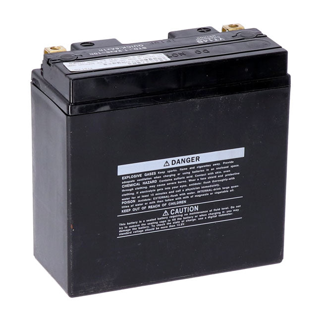 Yuasa, AGM battery, YT14B-WC Batteries Yuasa