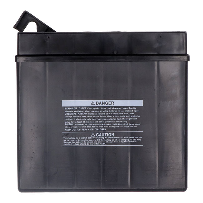 Yuasa, AGM battery, YT19BL-WC Batteries Yuasa