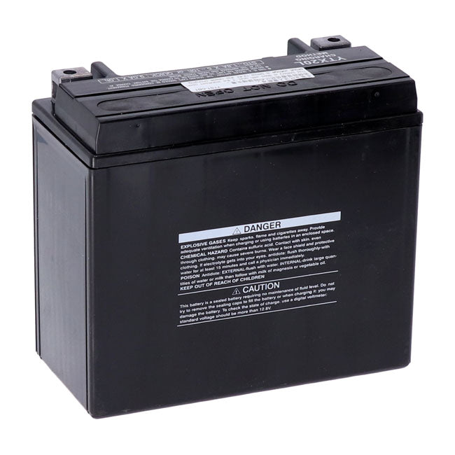 Yuasa, AGM battery, YTX20L-WC Batteries Yuasa