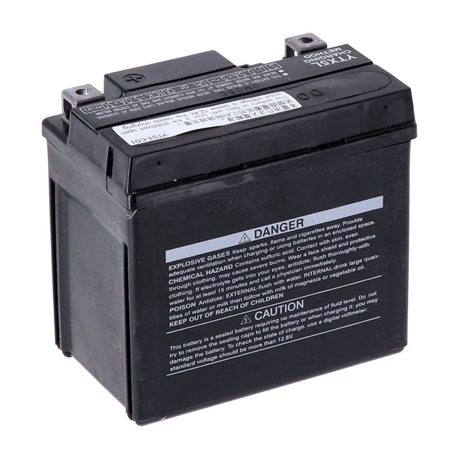 Yuasa, AGM battery, YTX5L-WC Batteries Yuasa