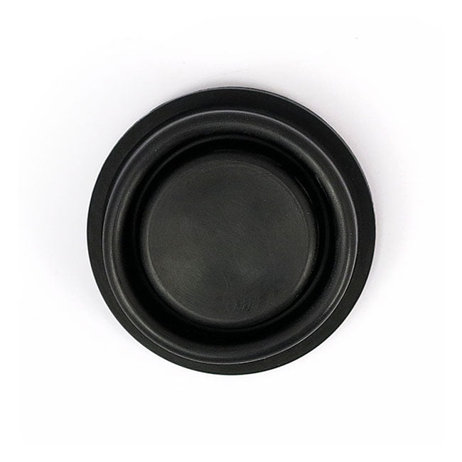 Gasket, Master Cylinder Cover Rear Master Cylinder Gaskets Mcs